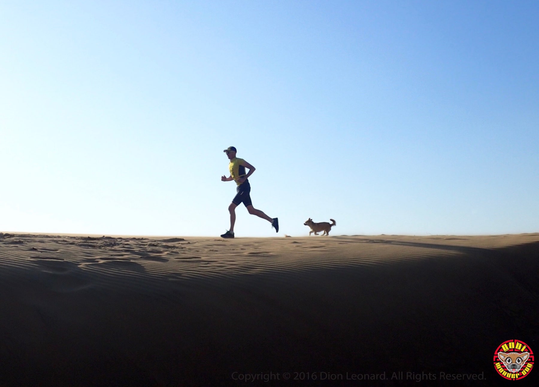 Dion and Gobi Leonard - Finding Gobi Book Review