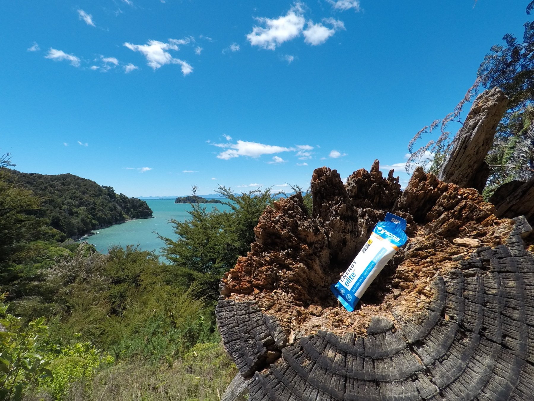 Running the Abel Tasman