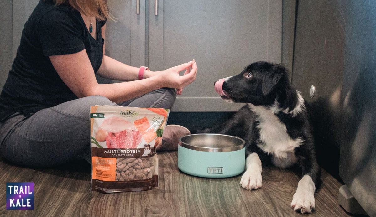 Accelerating our puppys training using high value dog food Freshpet trail and kale web wm 11