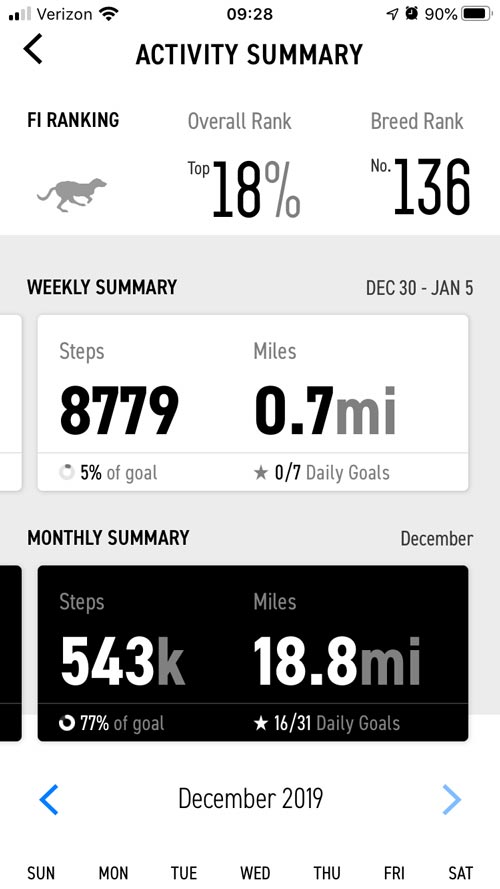 activity summary Fi Collar review trail and kale