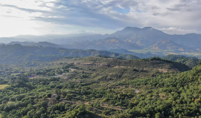 aerial view verdant hills with trees napa valley two week california road trip itinerary