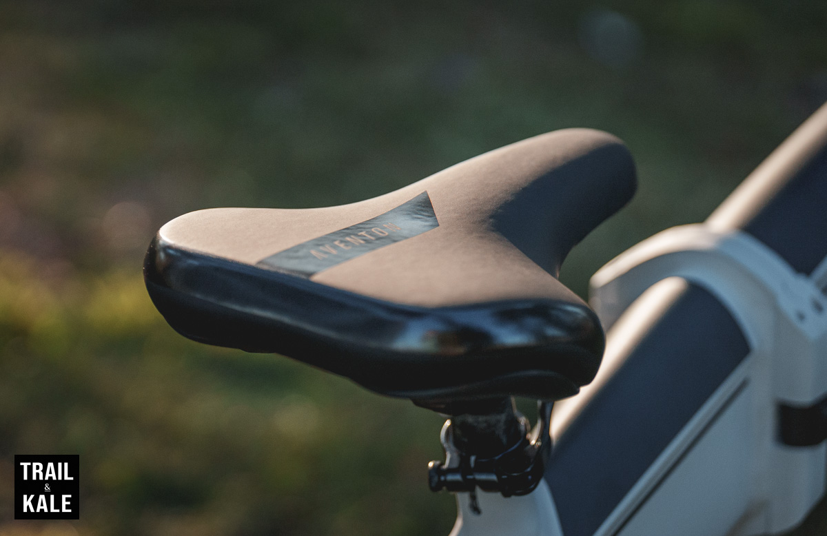 Aventon Sinch Review by Trail and Kale 30