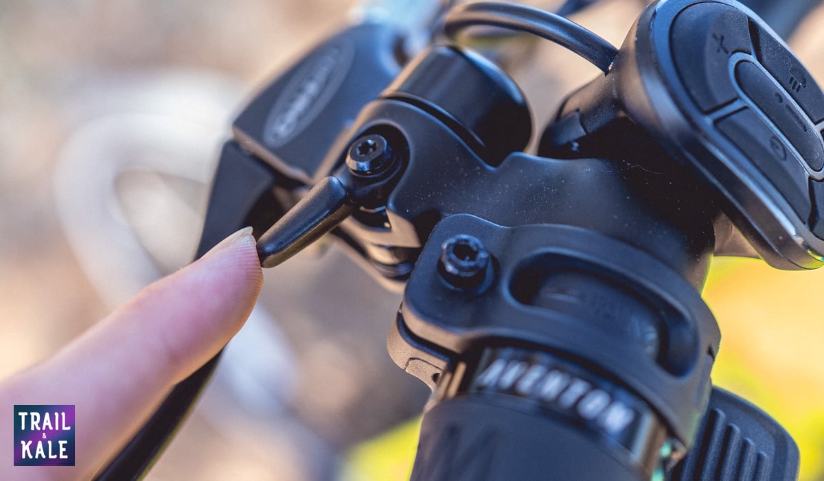 Aventon Soltera Review Trail and Kale web wm 13