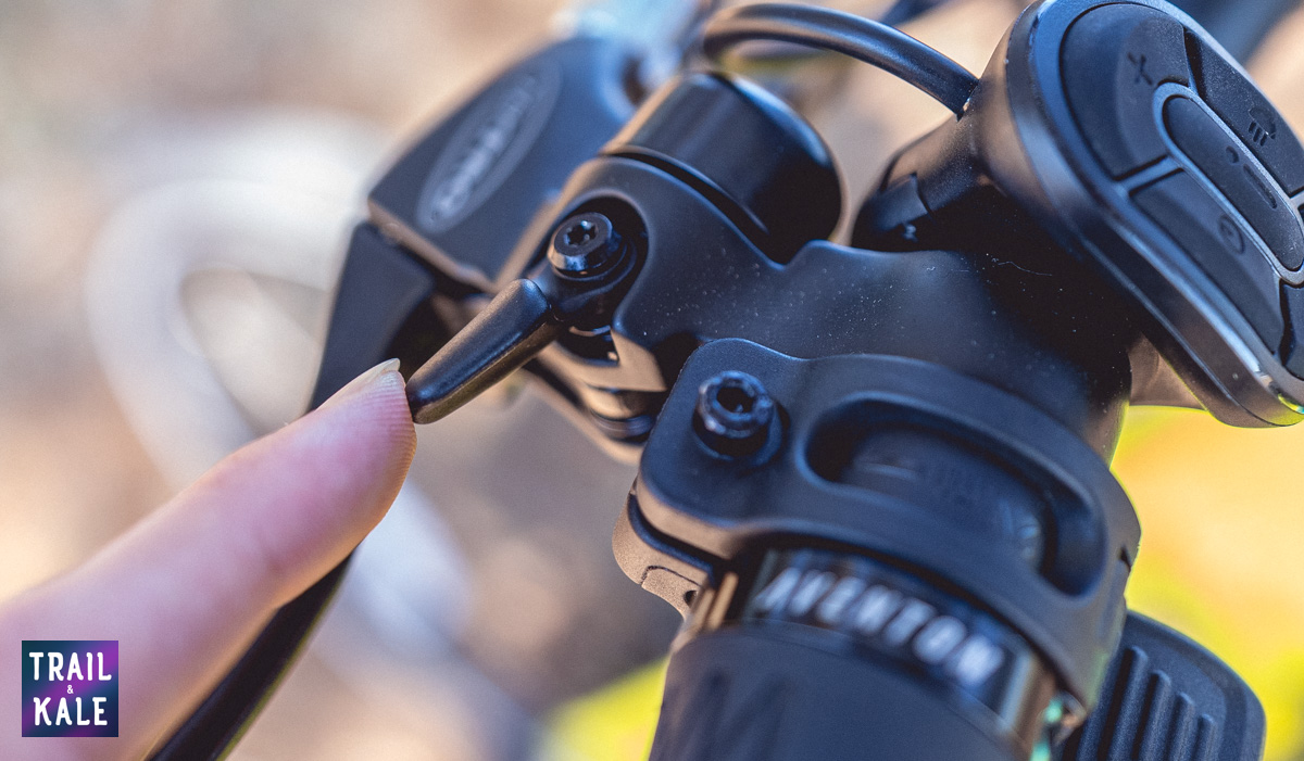 Aventon Soltera Review Trail and Kale web wm 13