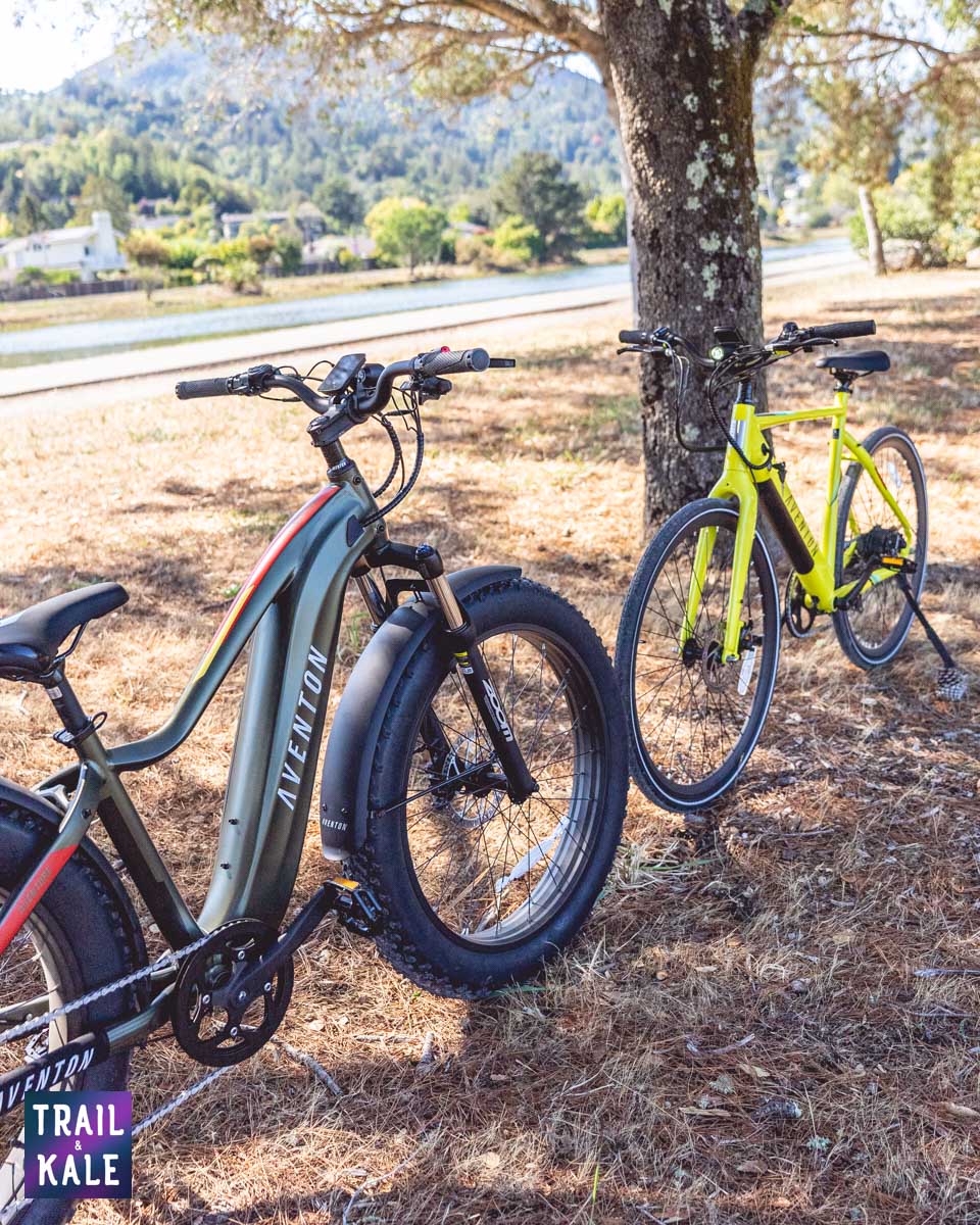 Aventon Soltera Review Trail and Kale web wm 45