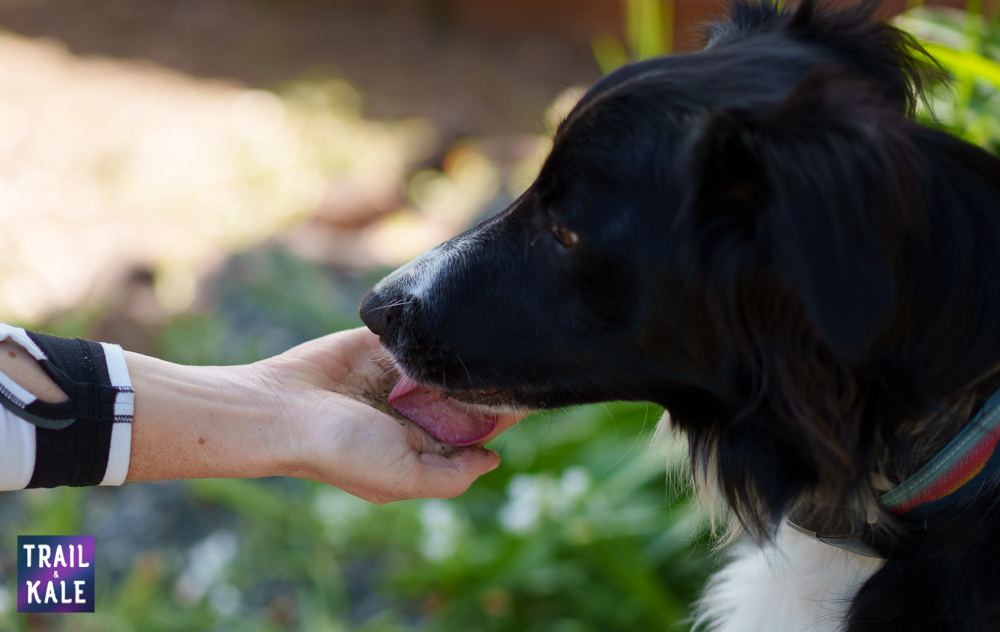 Because Animals Review Trail and Kale web wm 10