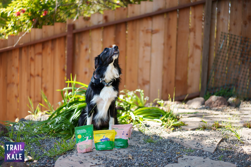 Because Animals Review Trail and Kale web wm 4