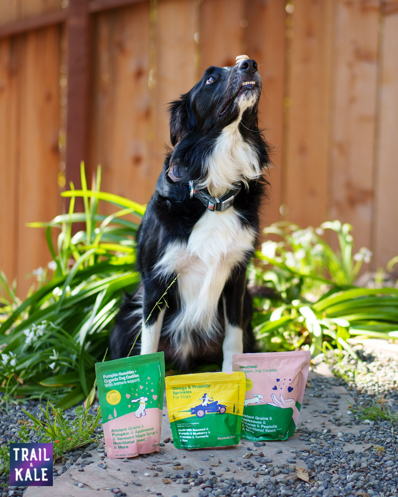 Because Animals Review Trail and Kale web wm 5