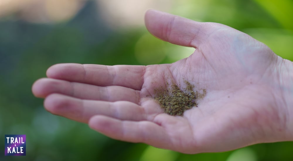 Because Animals Review Trail and Kale web wm 9