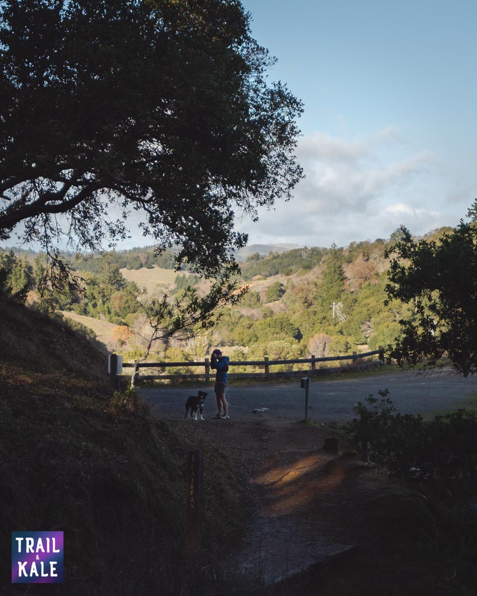 BioLite HeadLamp 200 review trail and kale web wm 1