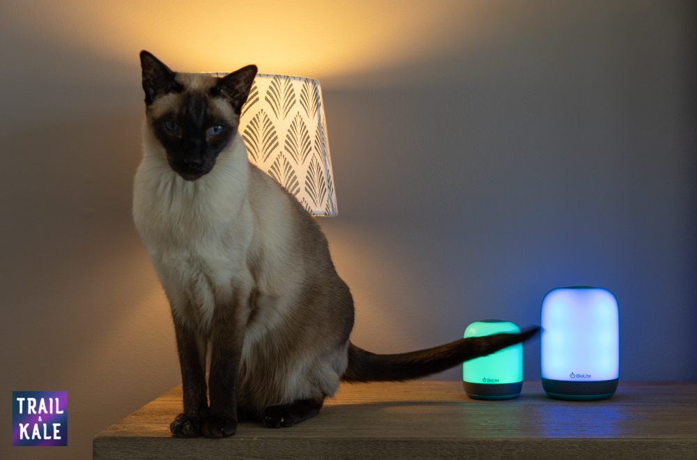 AlpenGlow 500 and 250 next to Champers from @cleversiamese