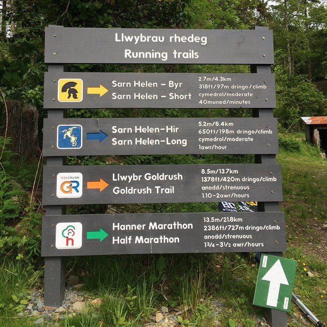 Trails in Coed y Brenin forest park, with my name on