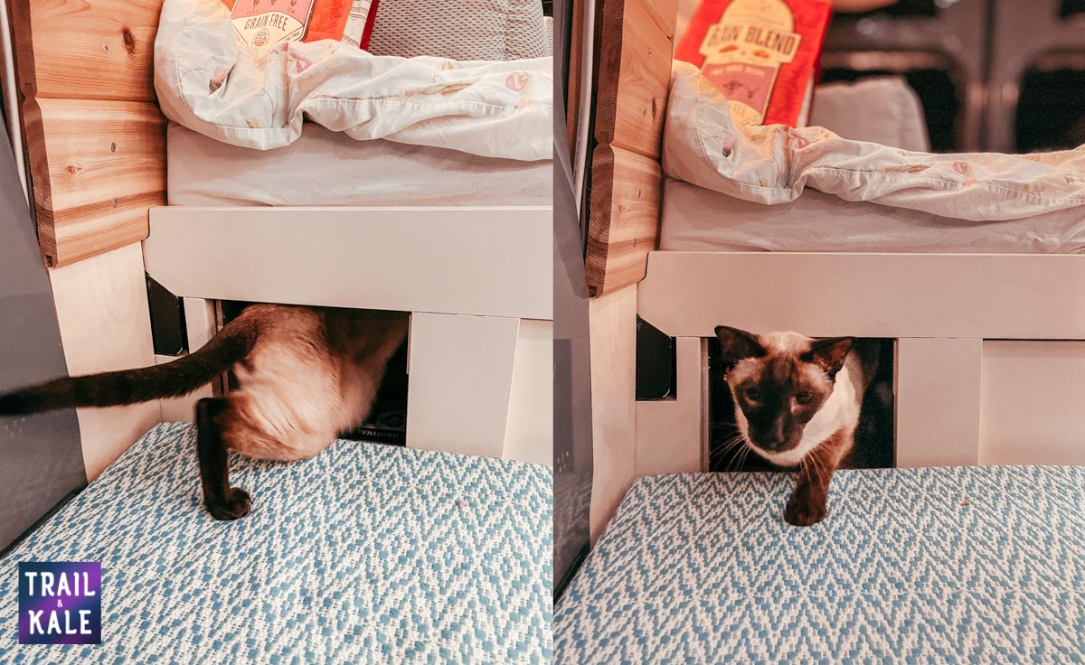 DIY Sprinter van build campervan's hidden toilet trail and kale web wm 1 2 1