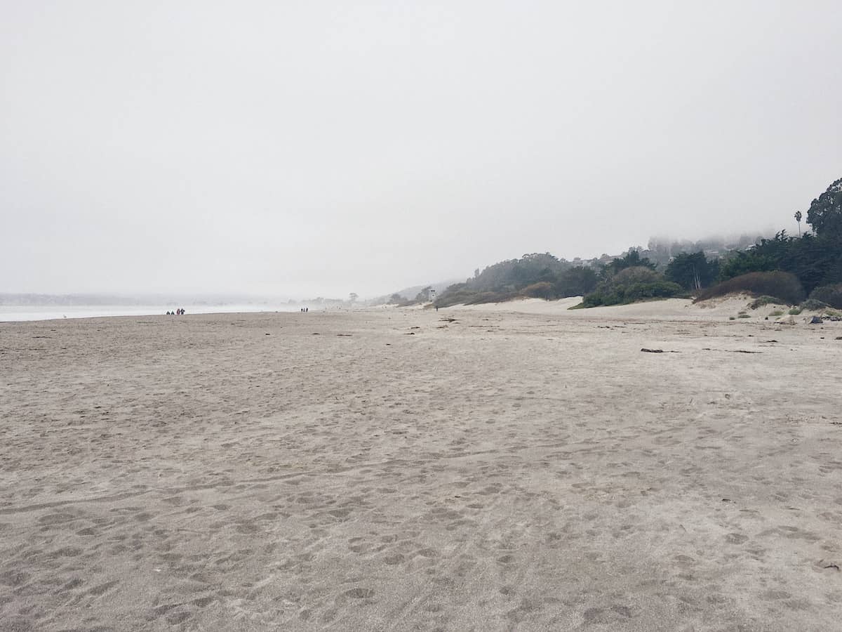 Its ok to Chill out - Trail & Kale