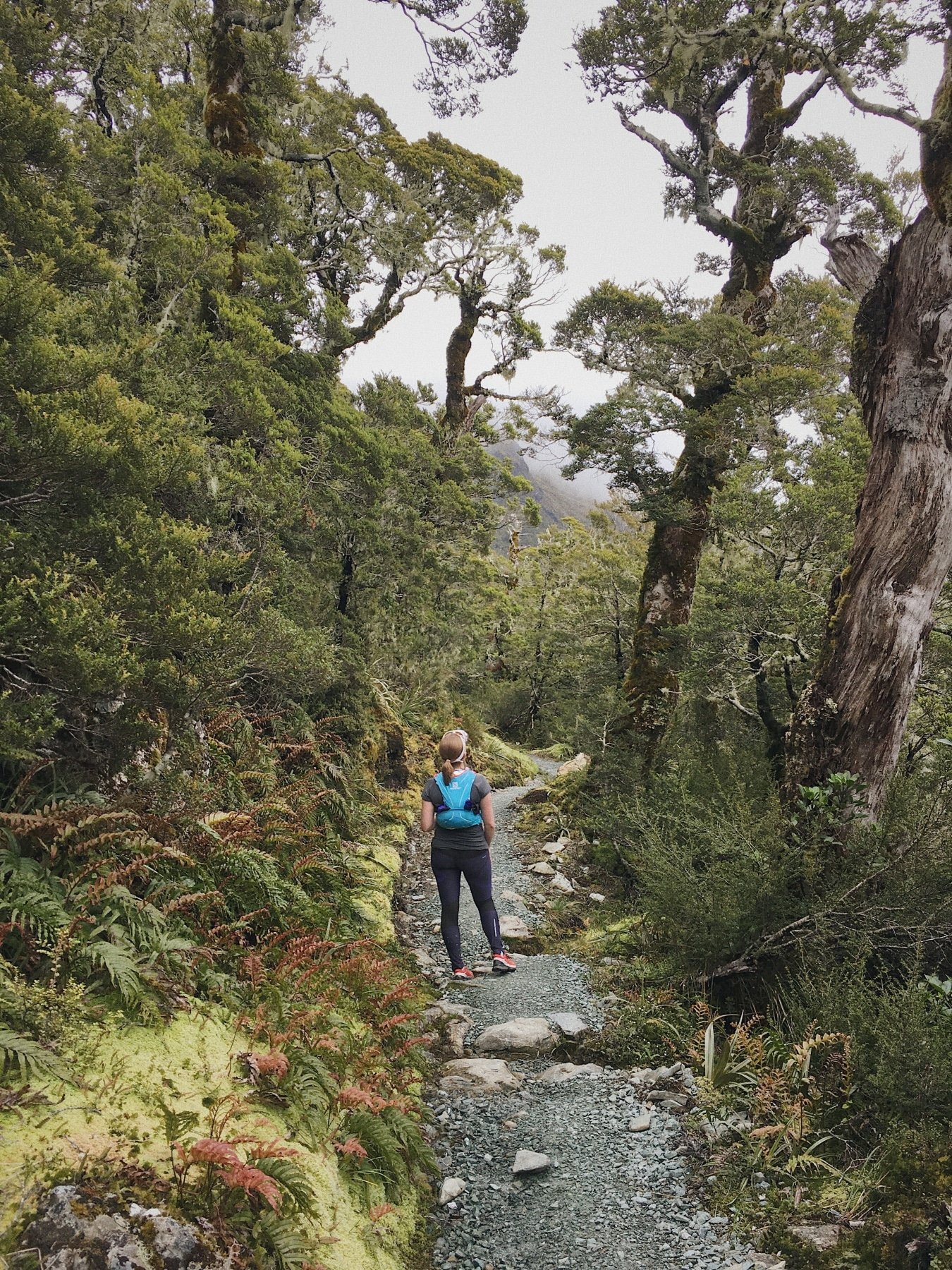 Running the Routeburn Track