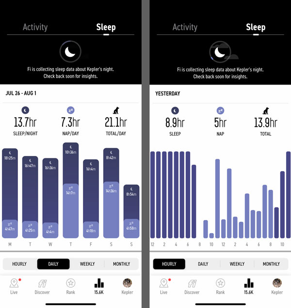 Fi GPS Dog Collar Sleep Tracker Review