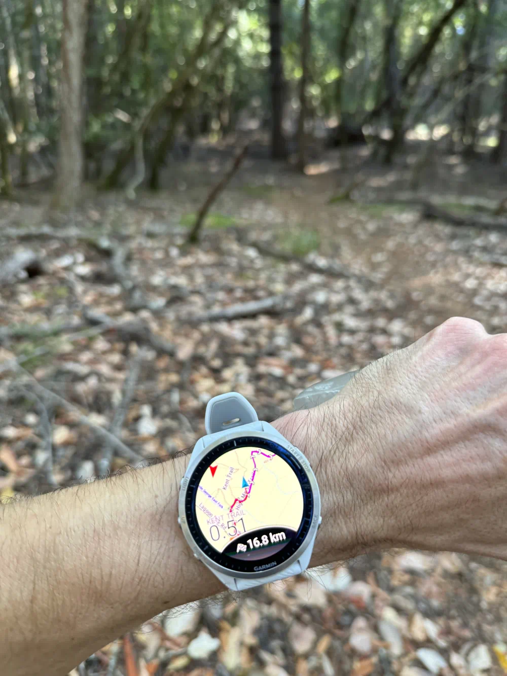 There are times when I get lost in dense wooded areas where the trail is very hard to see, and GPS is compromised - but I never stay lost for long thanks to this feature.