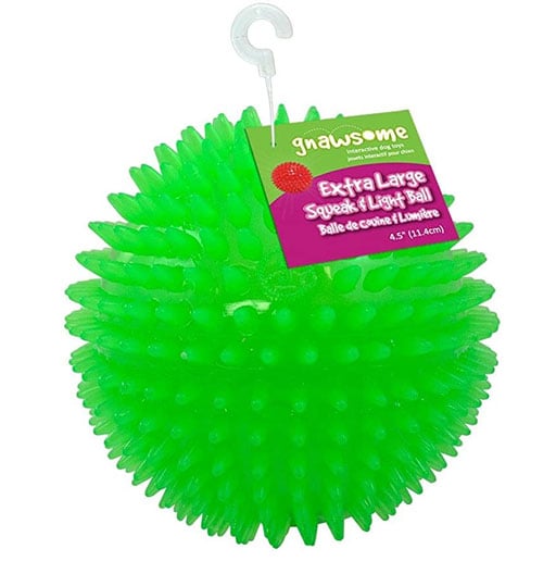 Gnawsome Squeaky Dog Ball Toy