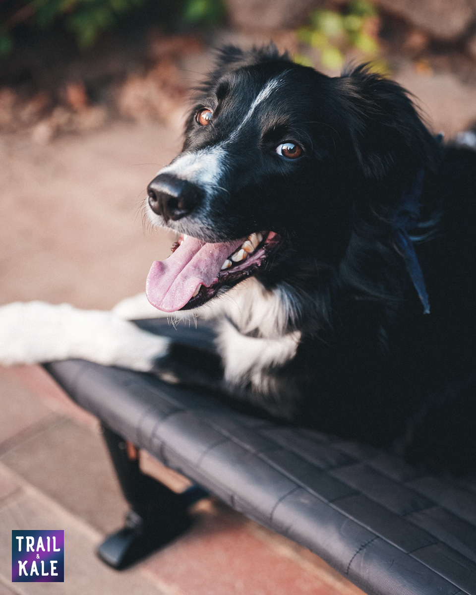 Helinox Dog Cot Review Trail and Kale web wm 18