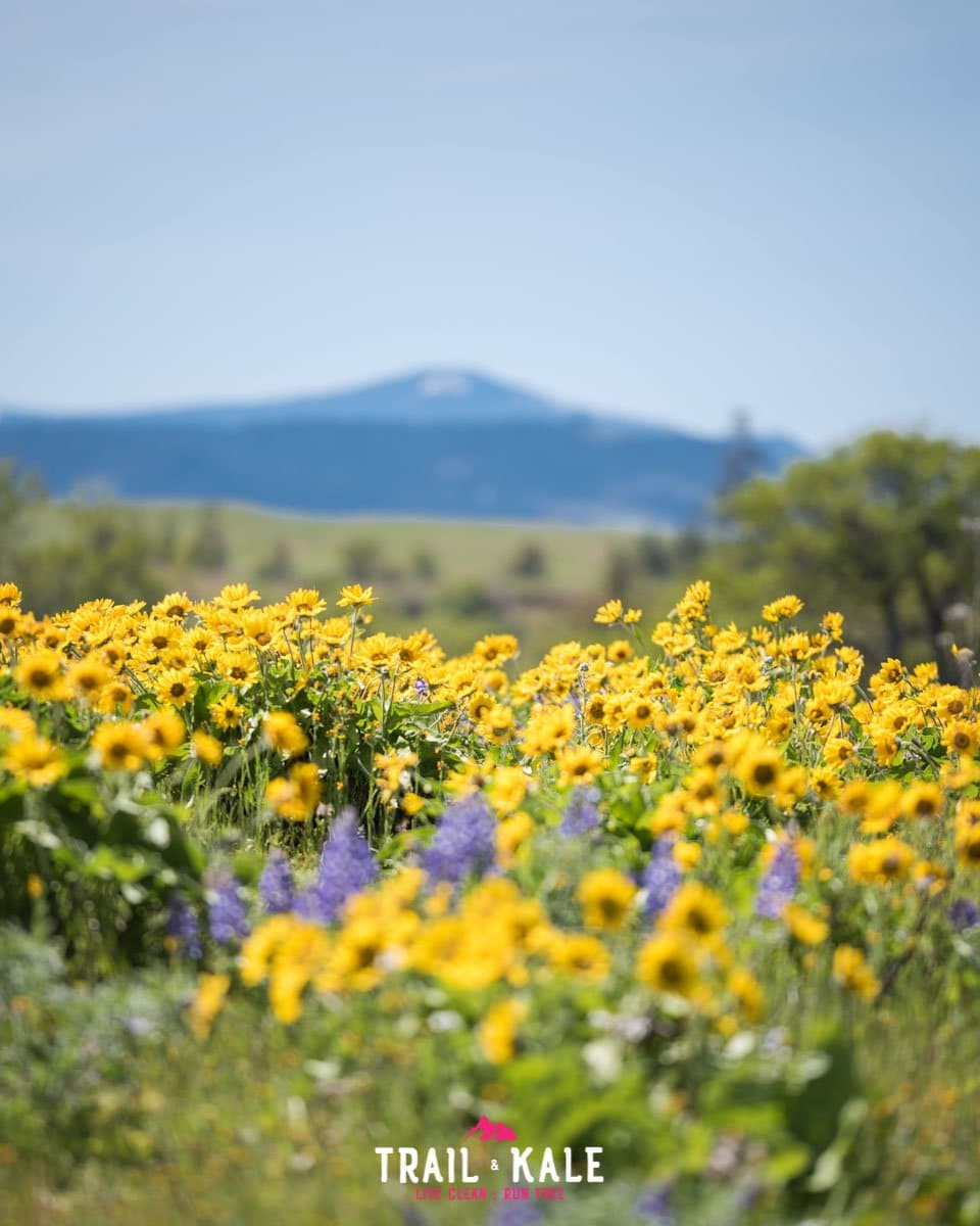 Hood To Coast Pacific City Trail Kale wm 8