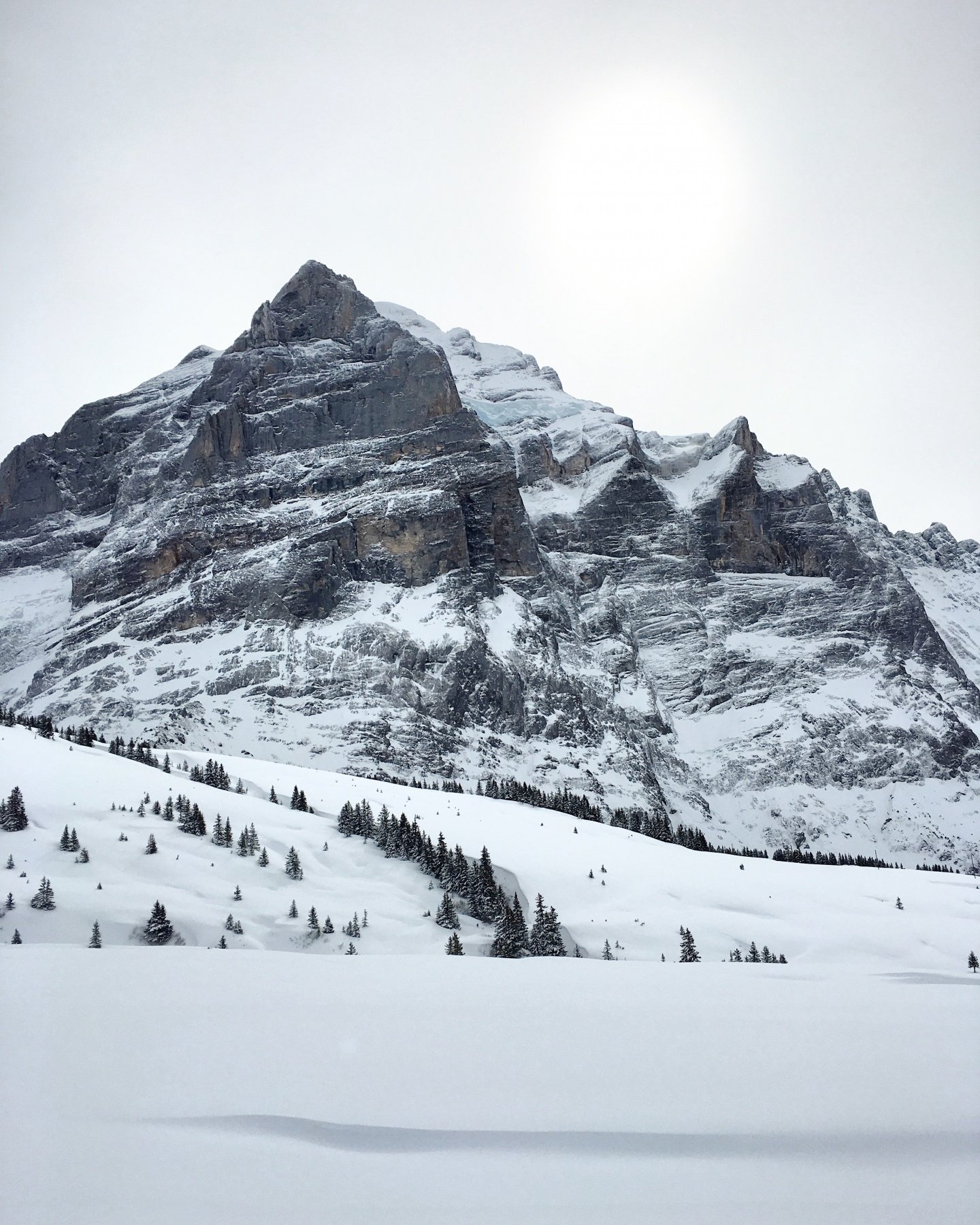 Ski touring Grindelwald