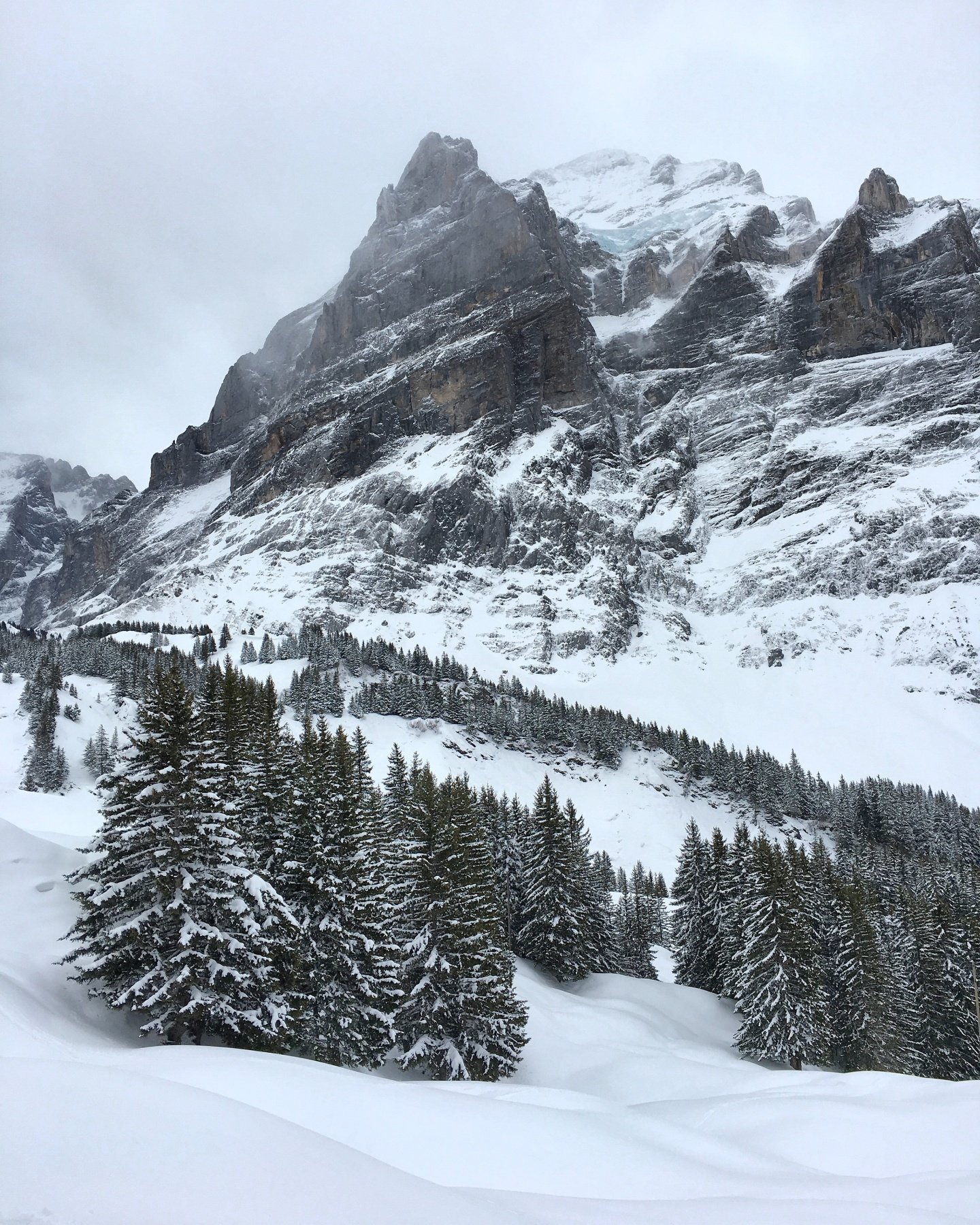 Ski touring Grindelwald
