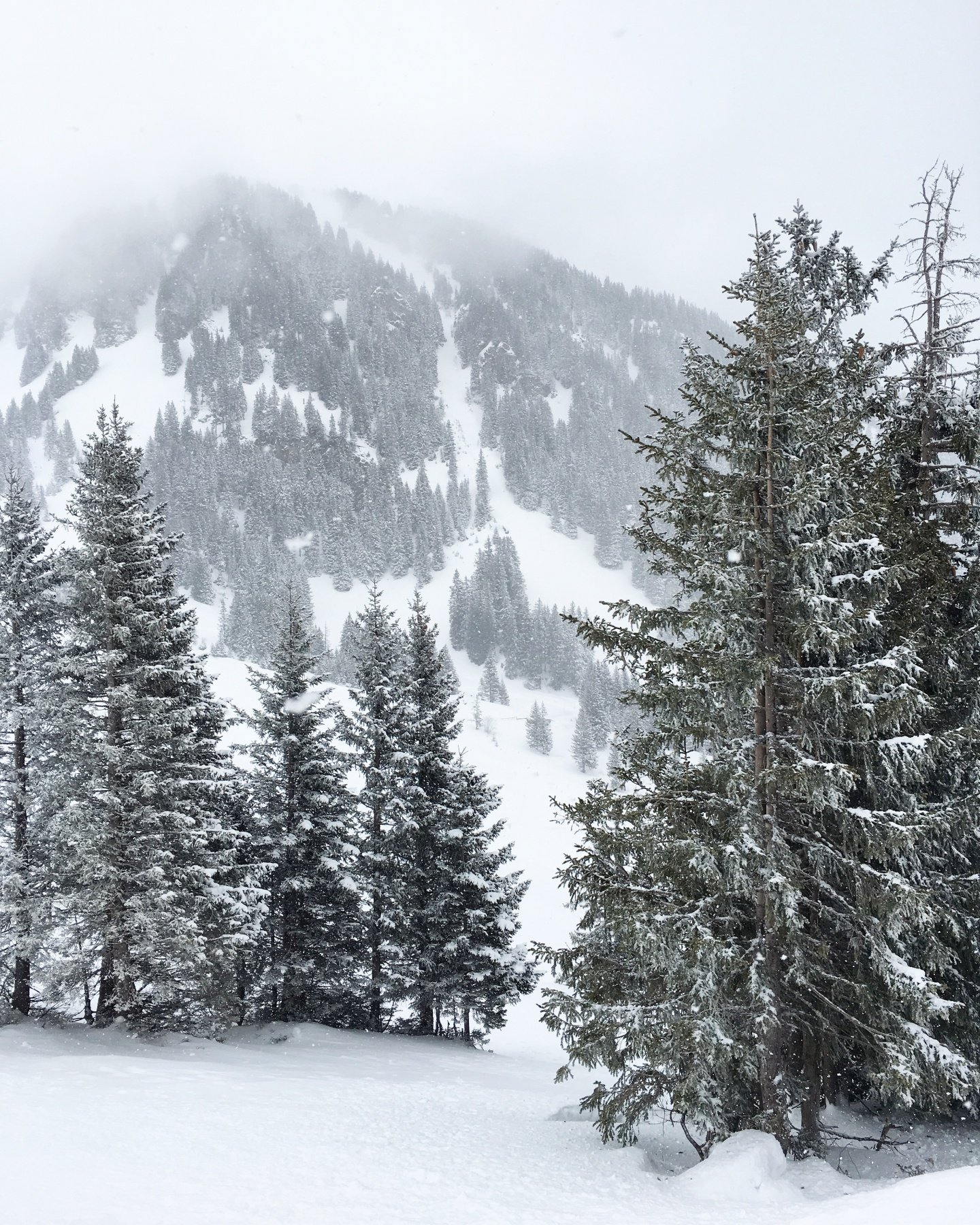 Ski touring Grindelwald