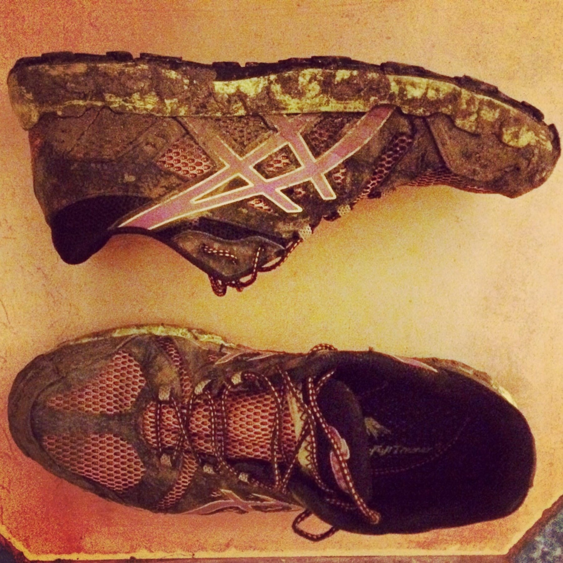 Asics Gel Fuji Trainer 3s. Comfortable and lightweight