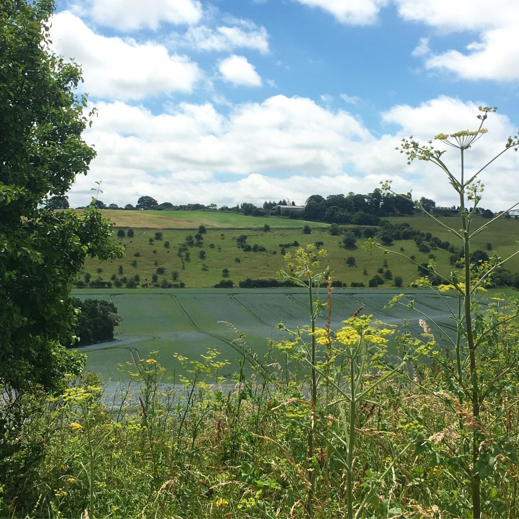 Beautiful countryside along the Ridgeway
