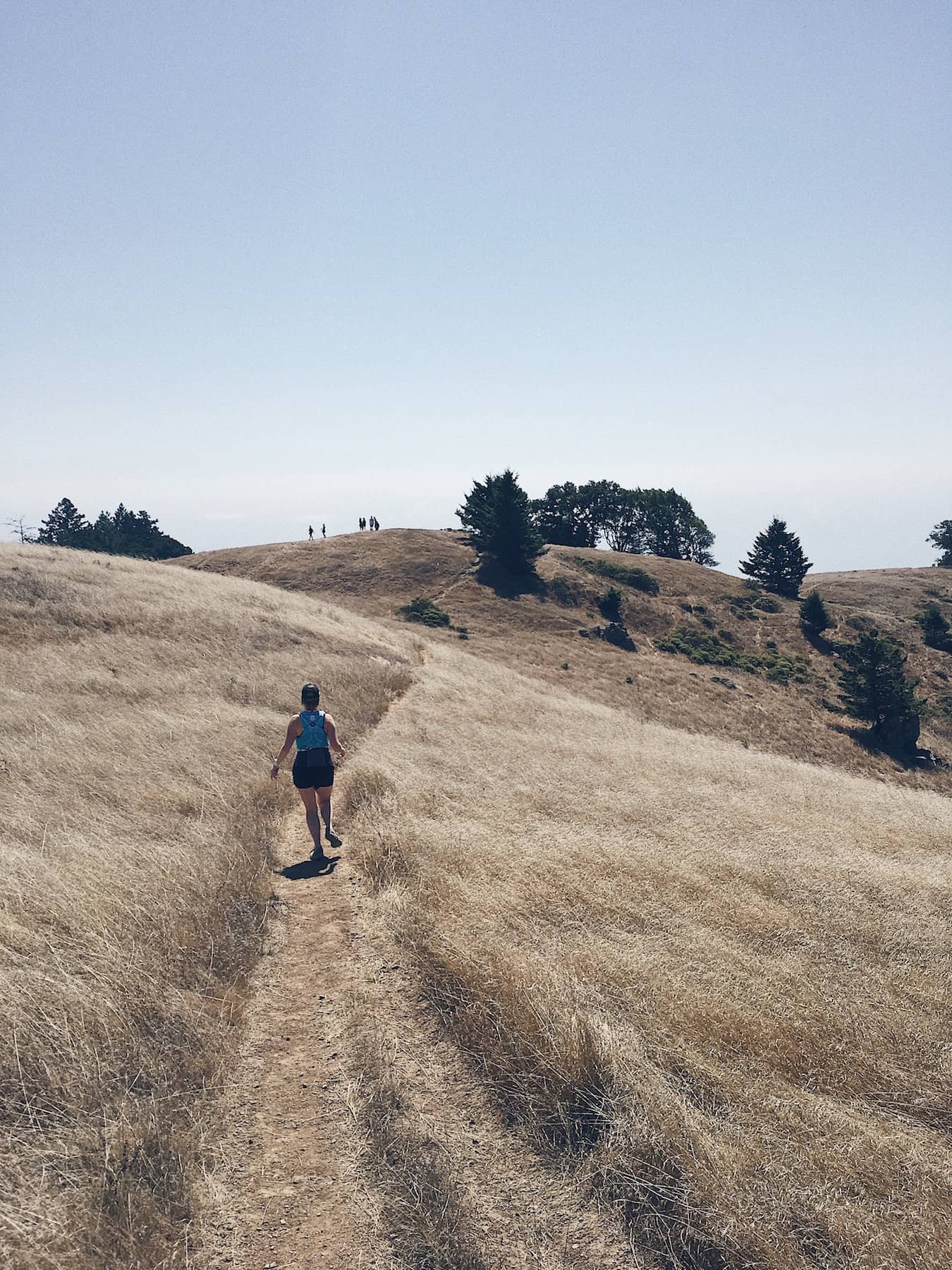 Trail Running on Mount Tamalpais - Trail & Kale