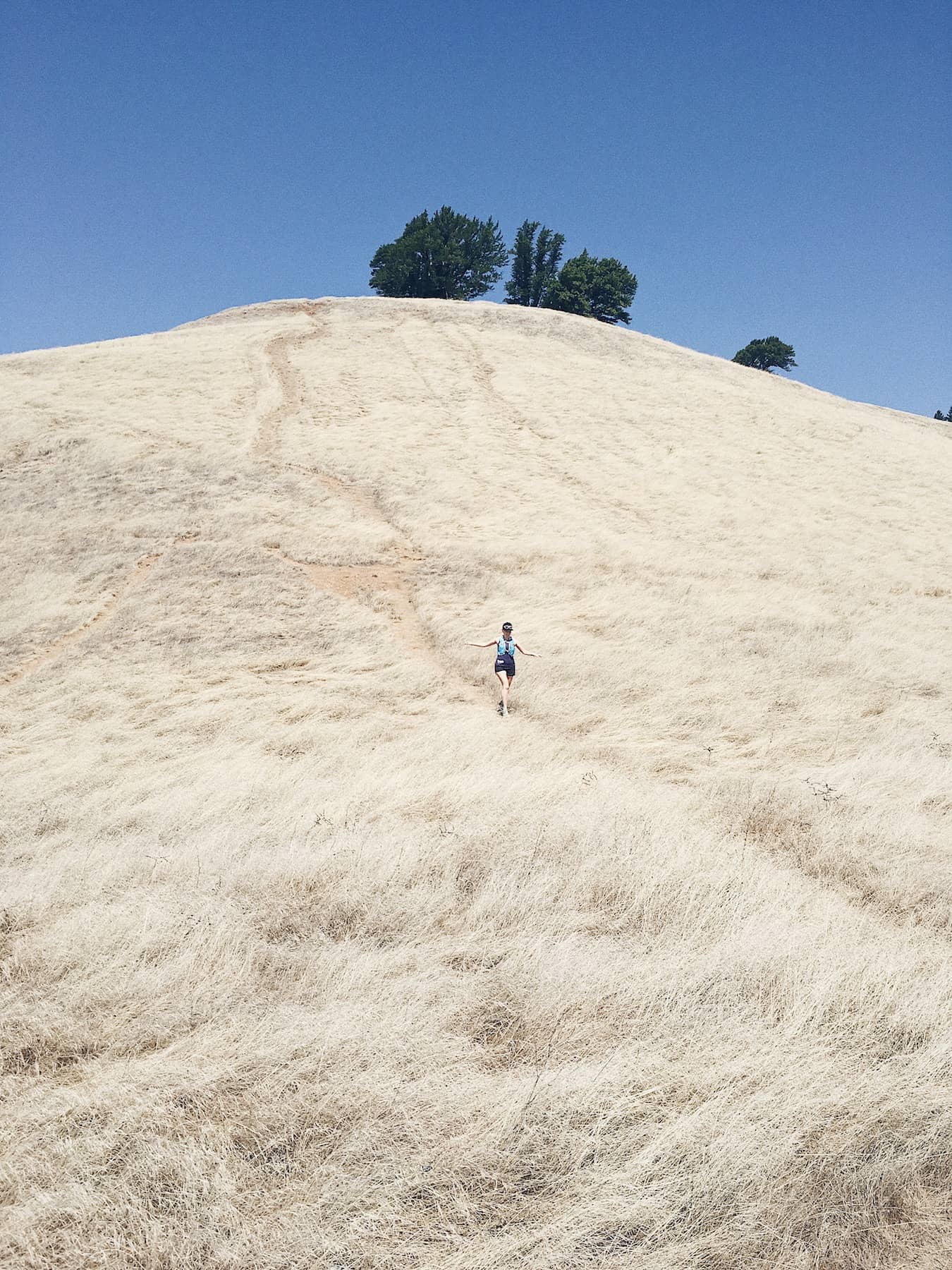 Trail Running on Mount Tamalpais - Trail & Kale