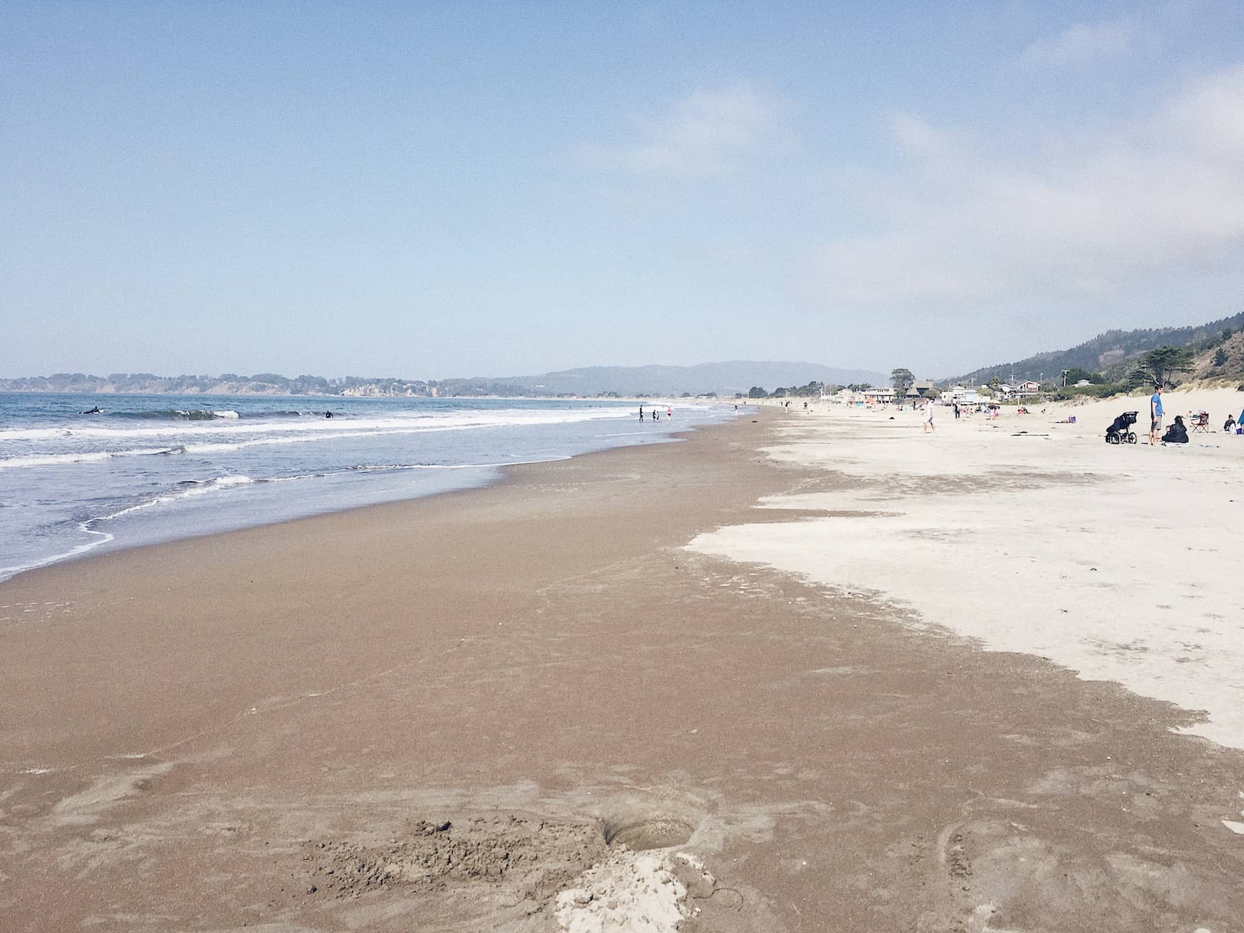 Trail Running on Mount Tamalpais - Trail & Kale