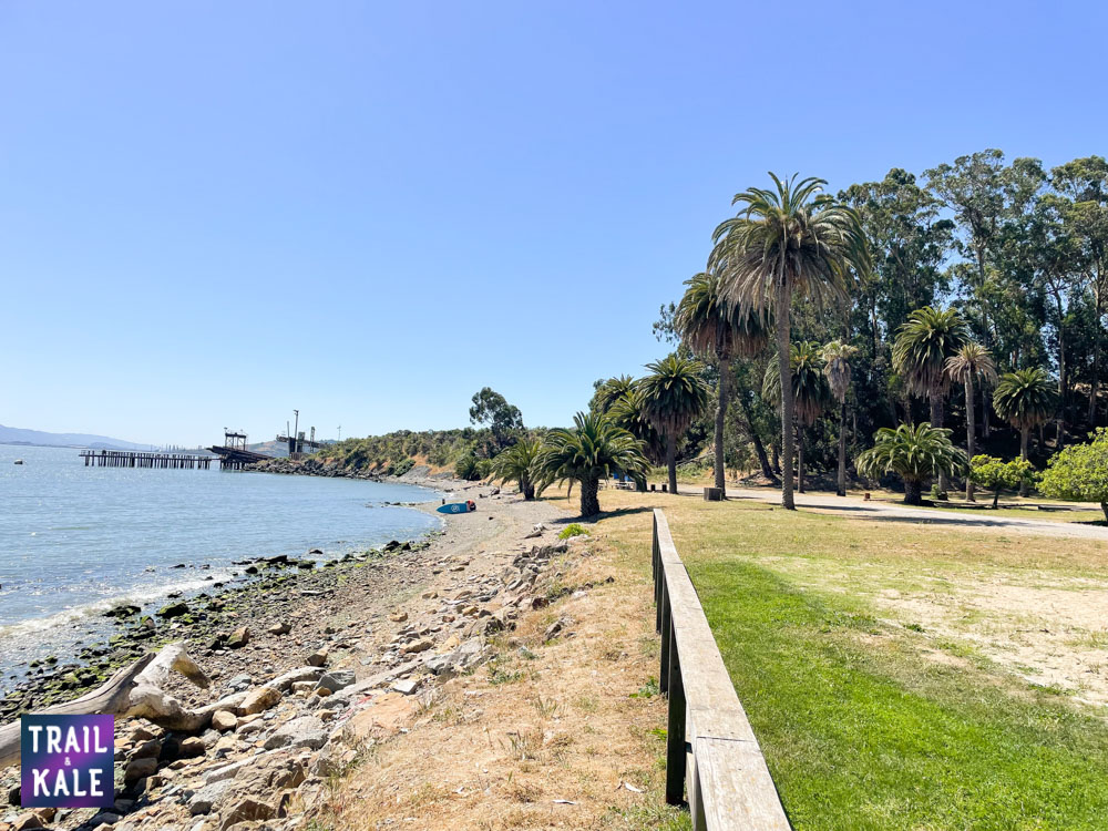 iRocker Cruiser Review inflatable SUP for beginners Trail and Kale web wm 16