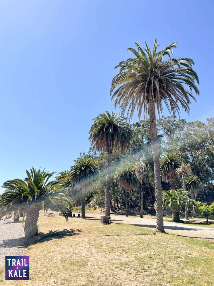 iRocker Cruiser Review inflatable SUP for beginners Trail and Kale web wm 17