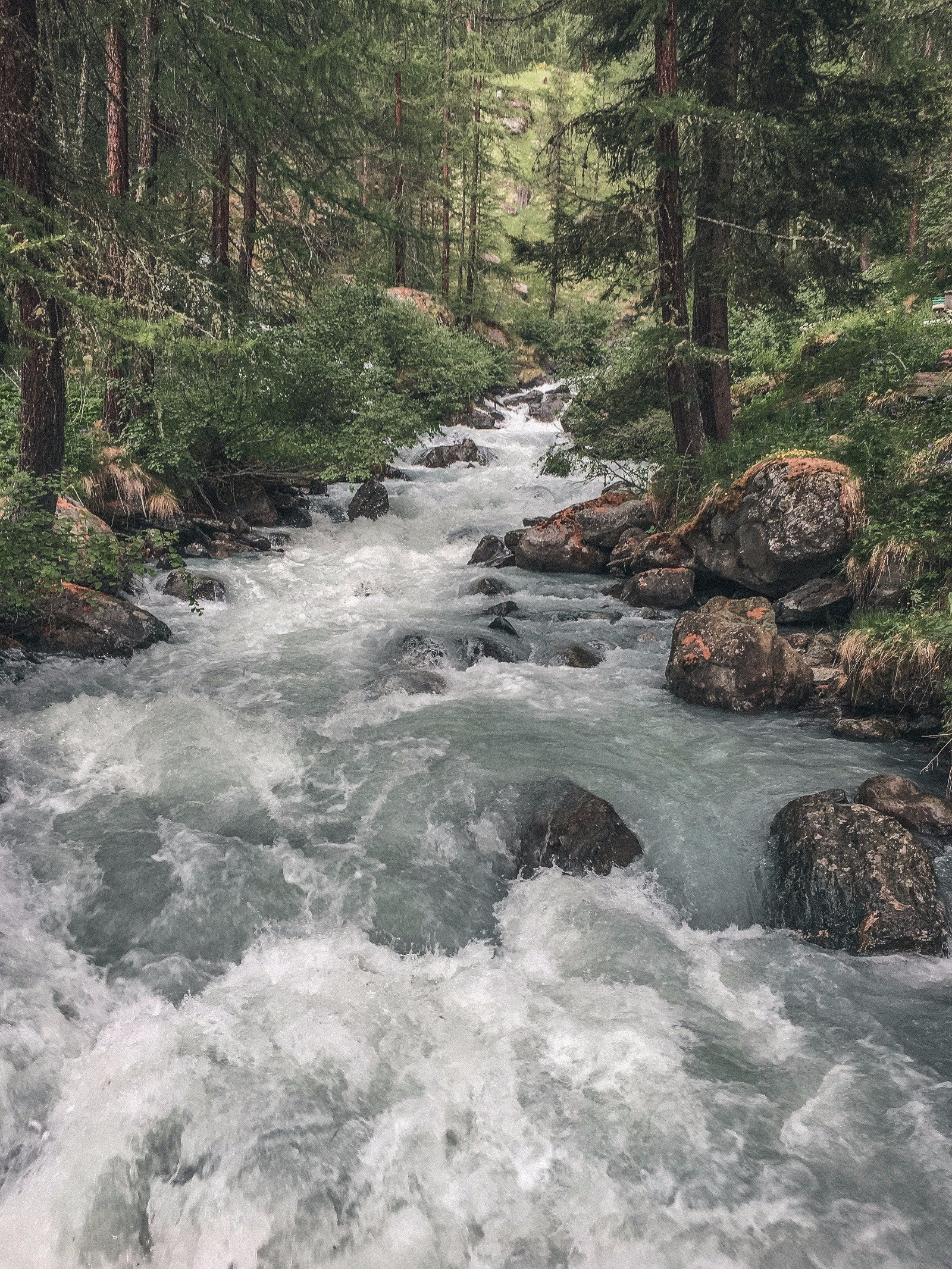 Trail Running Aosta Valley Italy - Trail & Kale