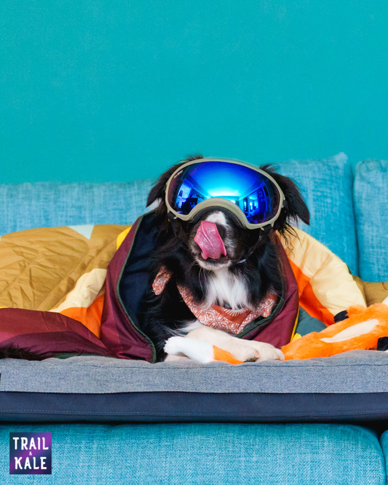 Kepler in Rex Specs and Voited Trail and Kale web wm 4