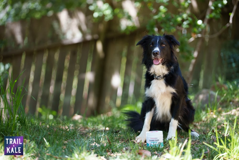 Kepler Premium Care Calming Chews Trail and Kale web wm 4