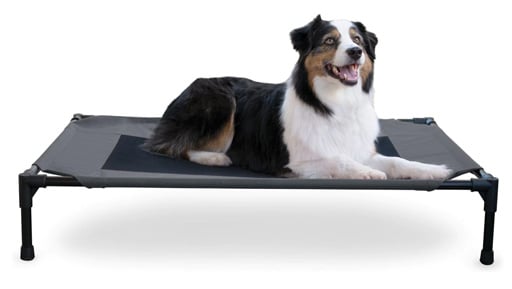 KH pet cot elevated dog bed 2