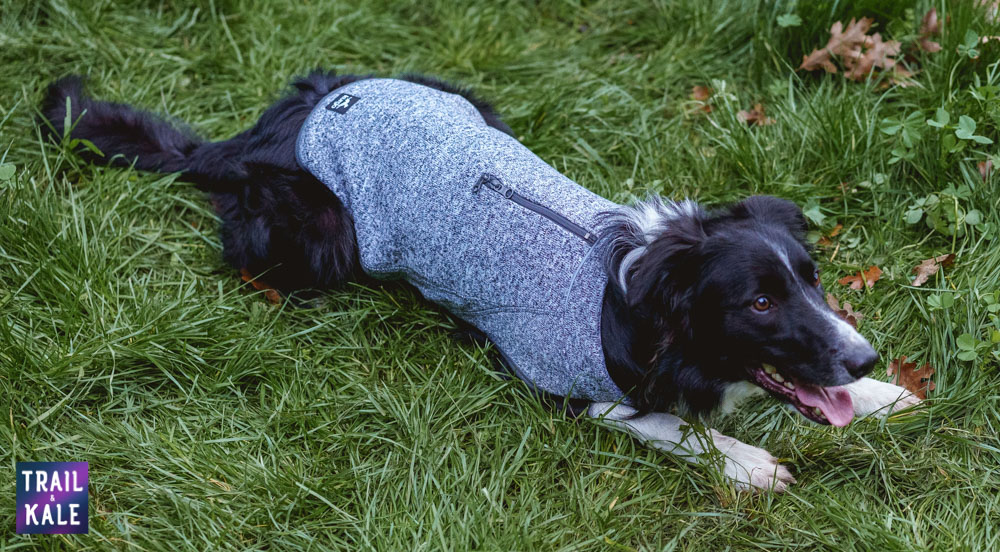 Kurgo K9 Core Sweater Review Trail and Kale web wm 19