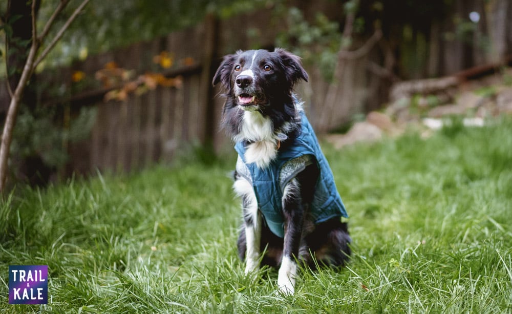 Kurgo Loft Dog Jacket Review Trail and Kale web wm 8
