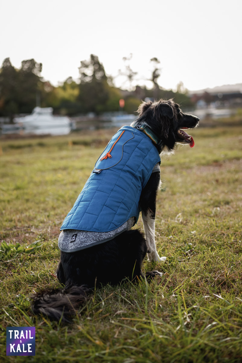 Kurgo Loft Jacket Kepler in the park Trail and Kale web wm 5