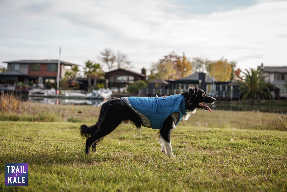 Kurgo Loft Jacket Kepler in the park Trail and Kale web wm 7