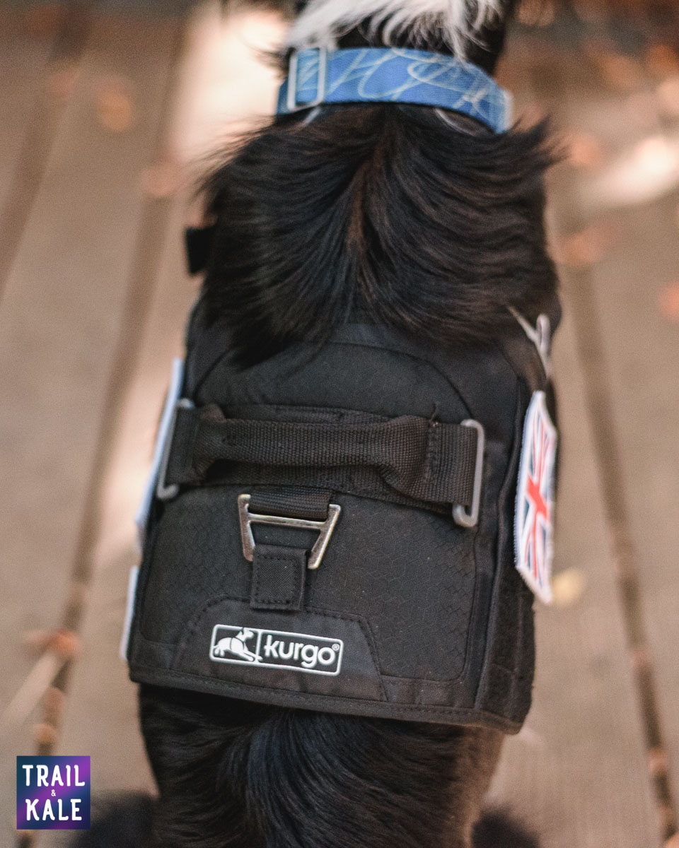 Kurgo Townie Harness Review trail and kale web wm 13