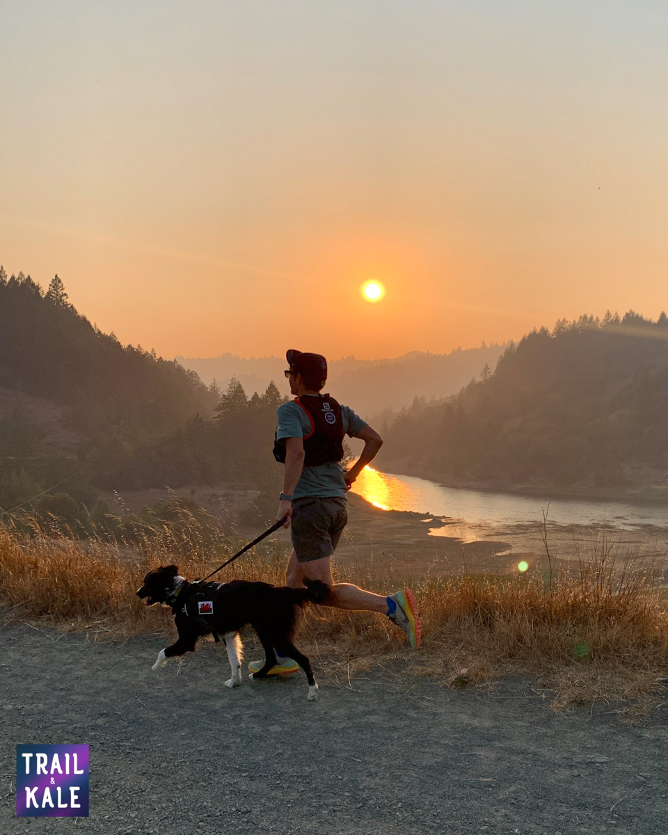 Kurgo Townie Harness Review trail and kale web wm 2 copy