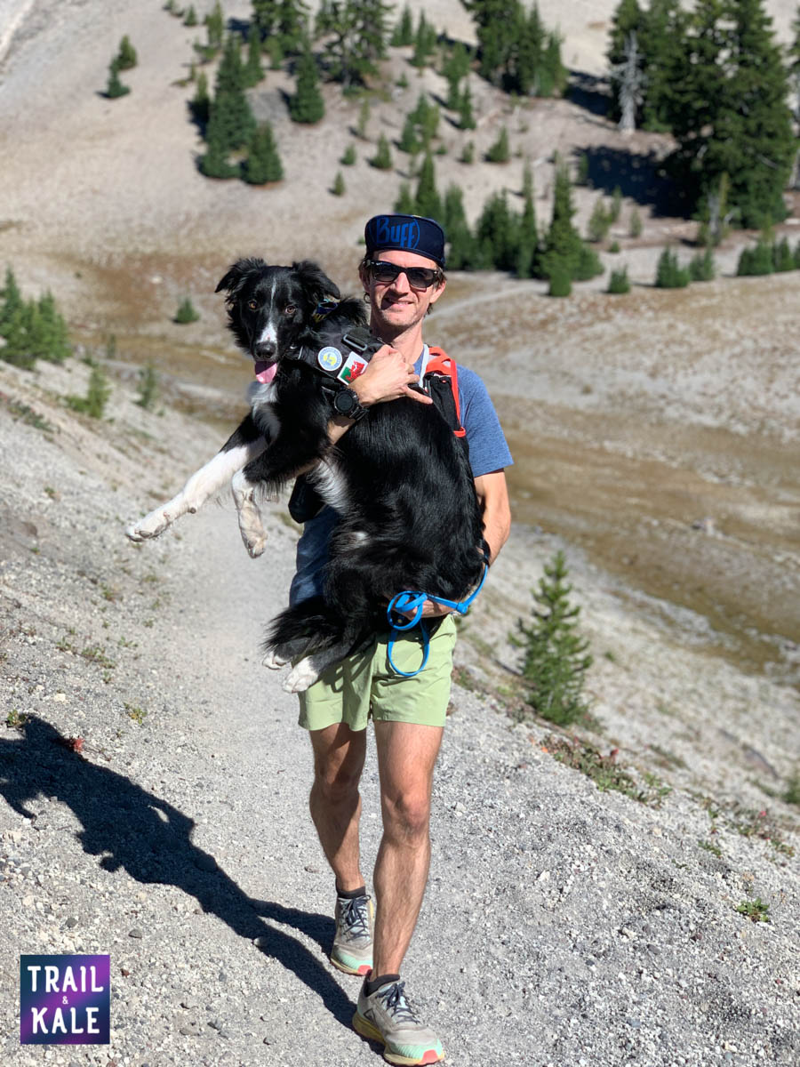 Kurgo Townie Harness Review trail and kale web wm 3 1