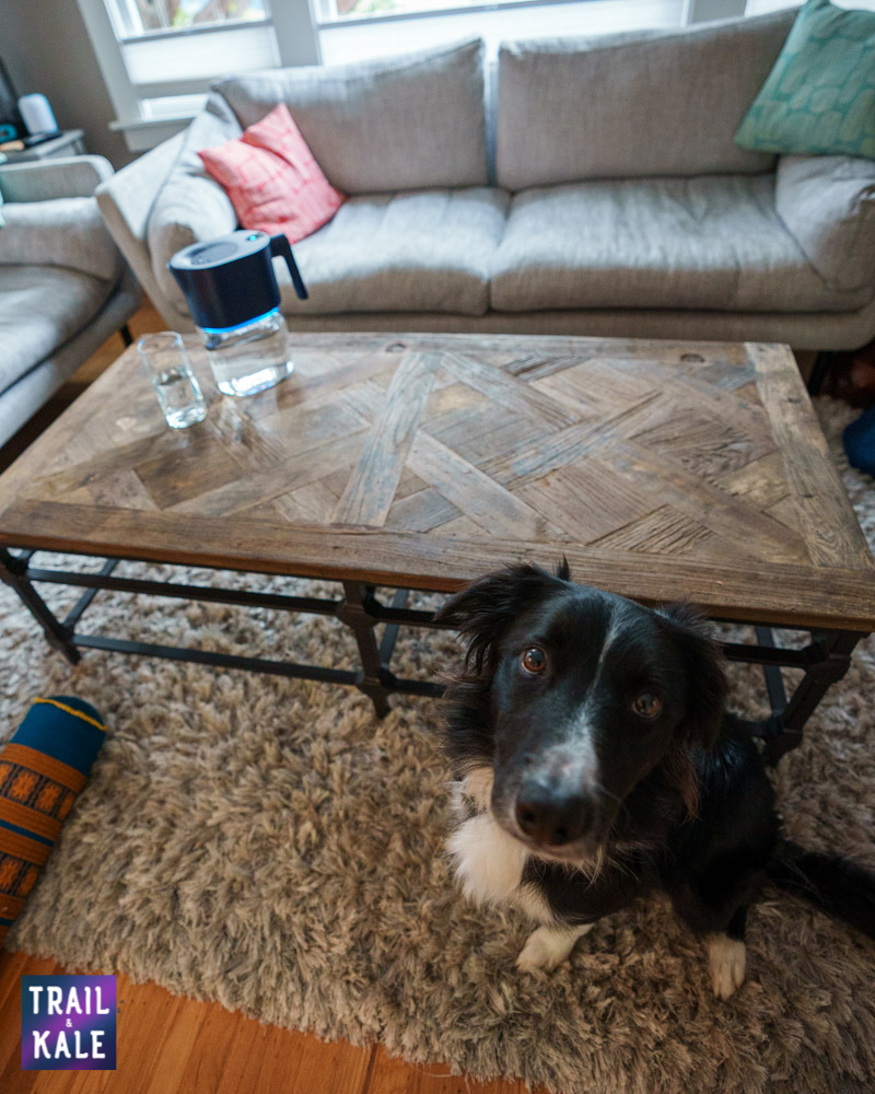 LARQ Pitcher Review purifier and water pitcher for hoe use Trail and Kale web wm 7