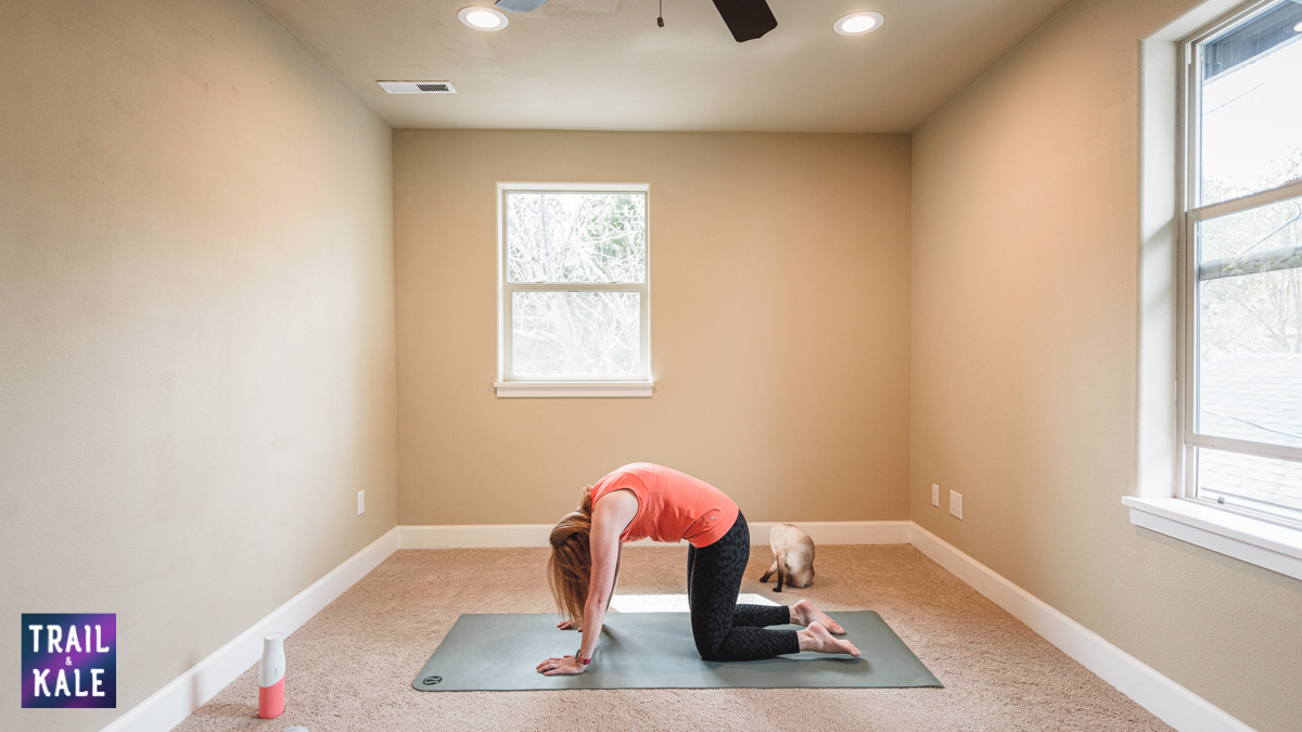 Lululemon Easy Yoga Stretches For Runners trail and kale Cat Pose
