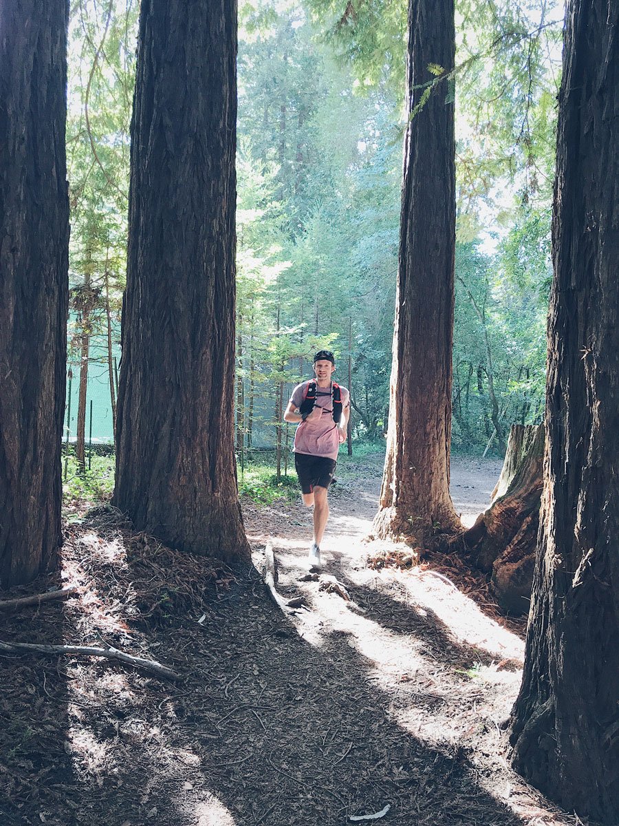 Merrell Agility Peak Flex 2 Review - Trail & Kale