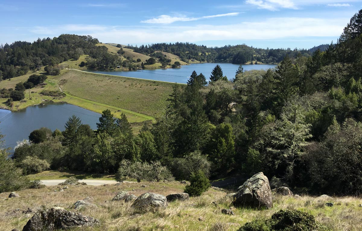 Merrell Agility Peak Flex 3 Review Shoebacca Trail and Kale