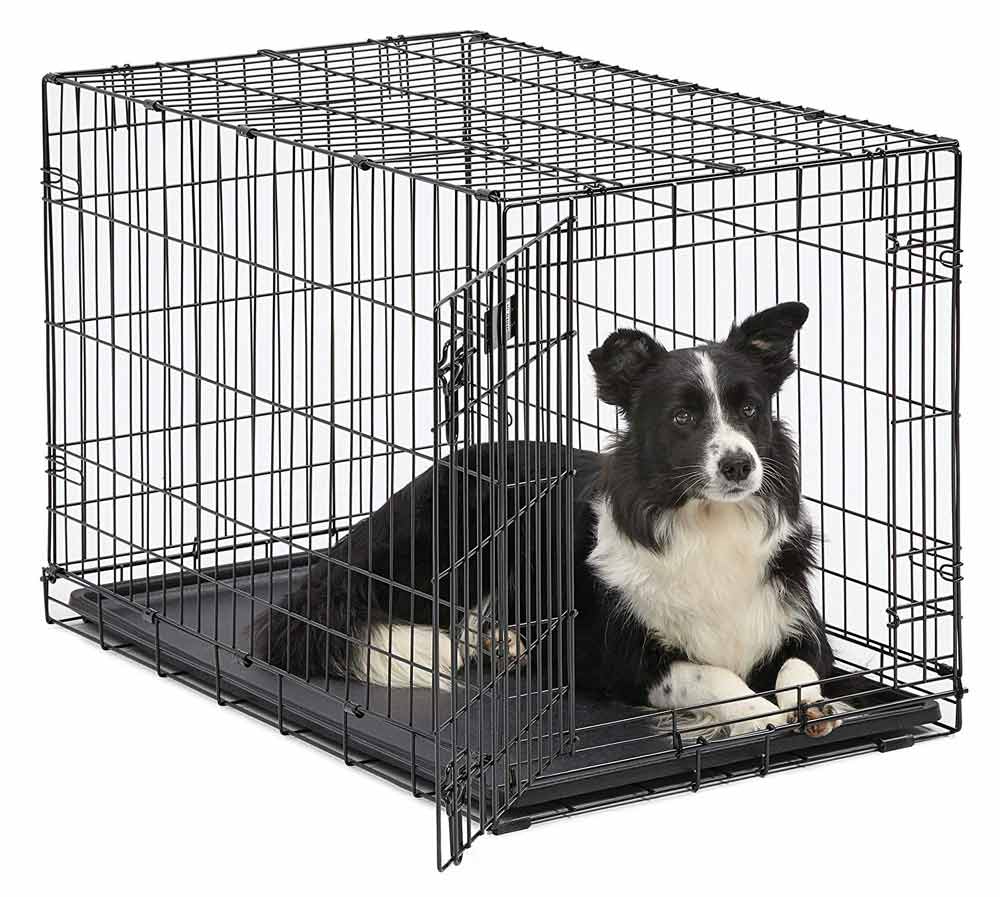Midwest Dog Crate Adventure Pup Essentials Trail and Kale